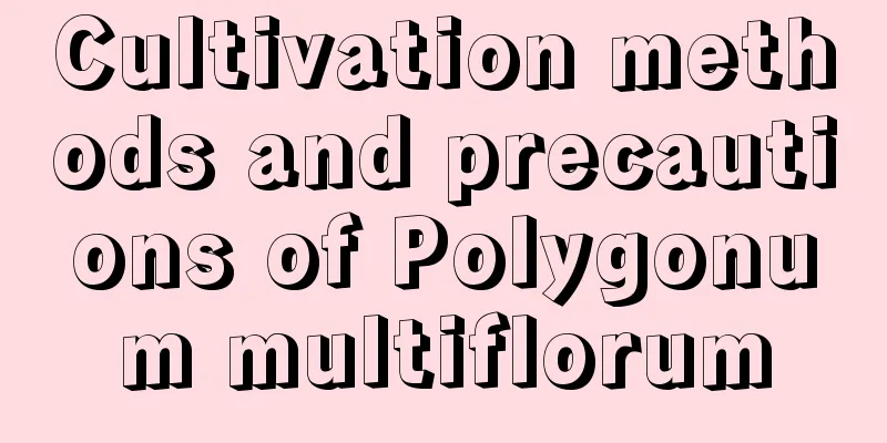 Cultivation methods and precautions of Polygonum multiflorum