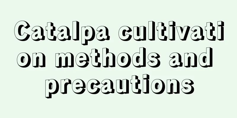 Catalpa cultivation methods and precautions