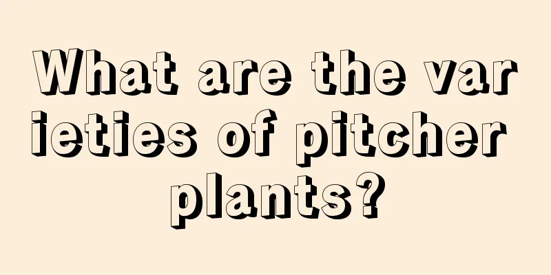 What are the varieties of pitcher plants?