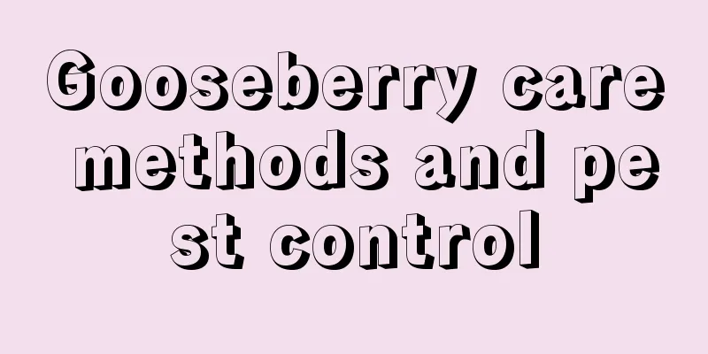 Gooseberry care methods and pest control