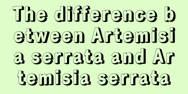 The difference between Artemisia serrata and Artemisia serrata