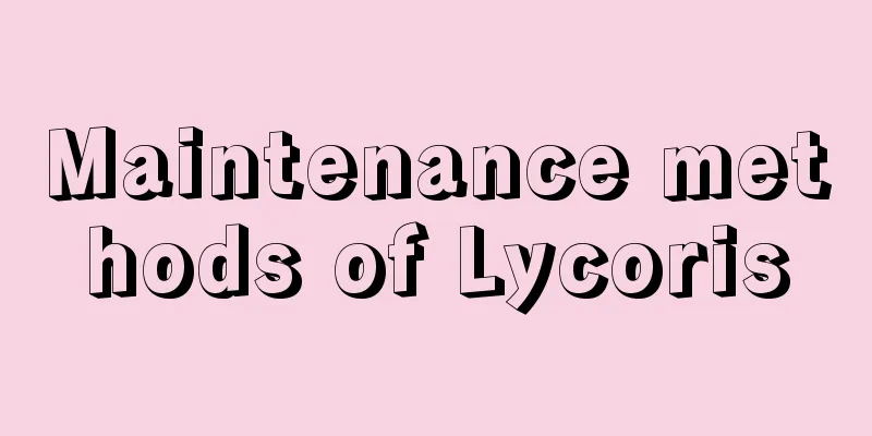 Maintenance methods of Lycoris