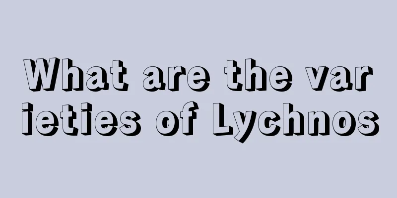 What are the varieties of Lychnos