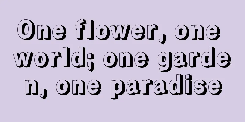 One flower, one world; one garden, one paradise