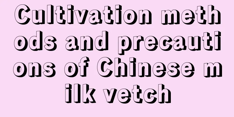 Cultivation methods and precautions of Chinese milk vetch