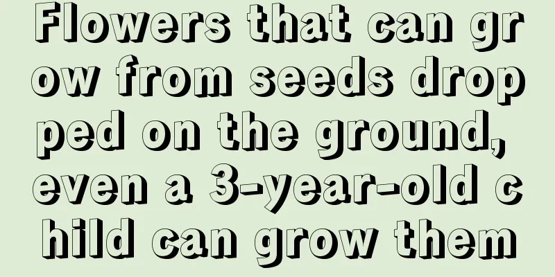 Flowers that can grow from seeds dropped on the ground, even a 3-year-old child can grow them