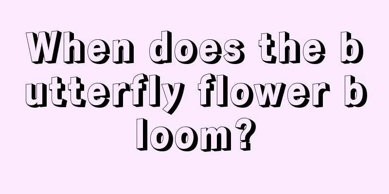 When does the butterfly flower bloom?