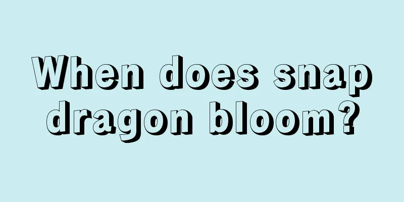 When does snapdragon bloom?