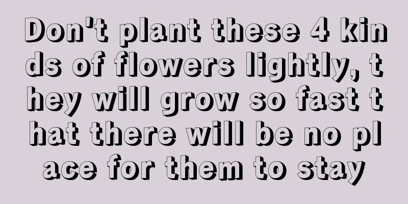 Don't plant these 4 kinds of flowers lightly, they will grow so fast that there will be no place for them to stay