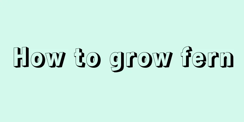 How to grow fern