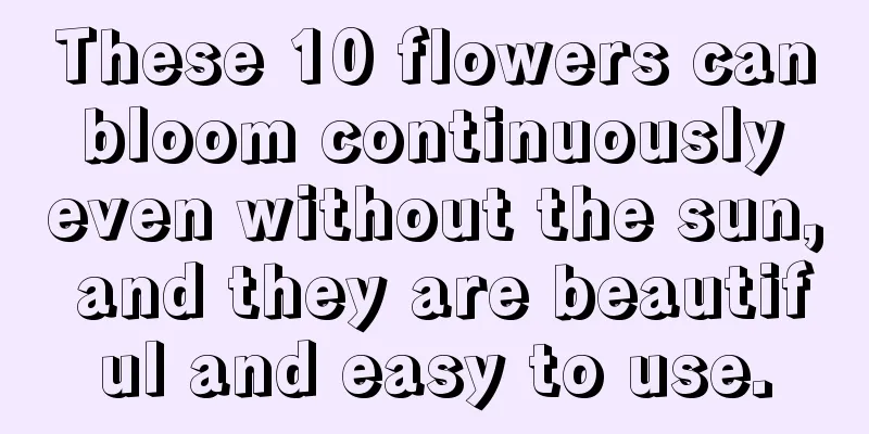 These 10 flowers can bloom continuously even without the sun, and they are beautiful and easy to use.