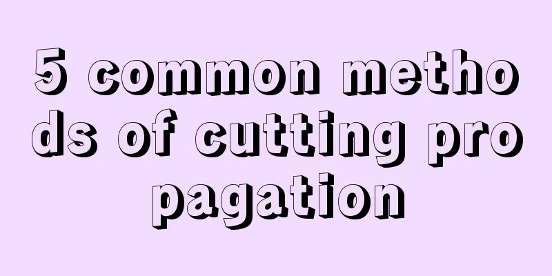 5 common methods of cutting propagation