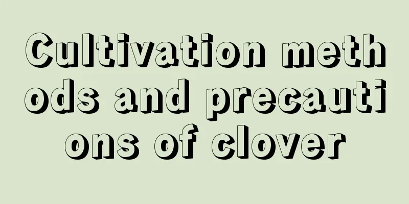 Cultivation methods and precautions of clover