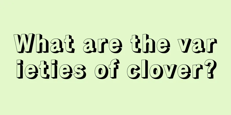 What are the varieties of clover?