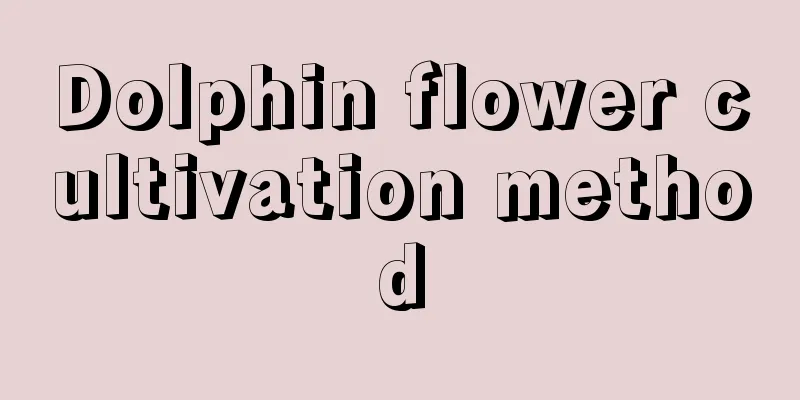 Dolphin flower cultivation method