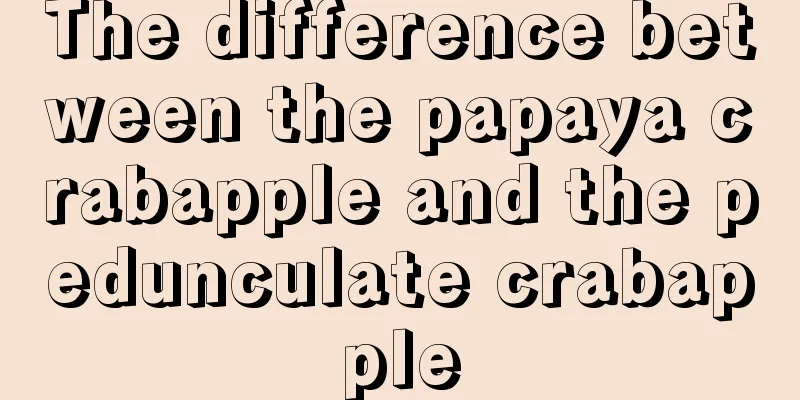 The difference between the papaya crabapple and the pedunculate crabapple