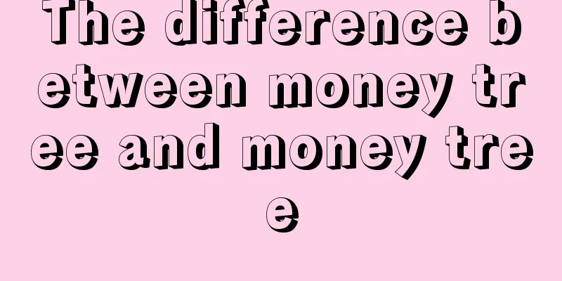 The difference between money tree and money tree