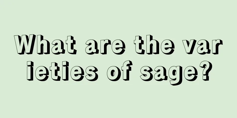 What are the varieties of sage?