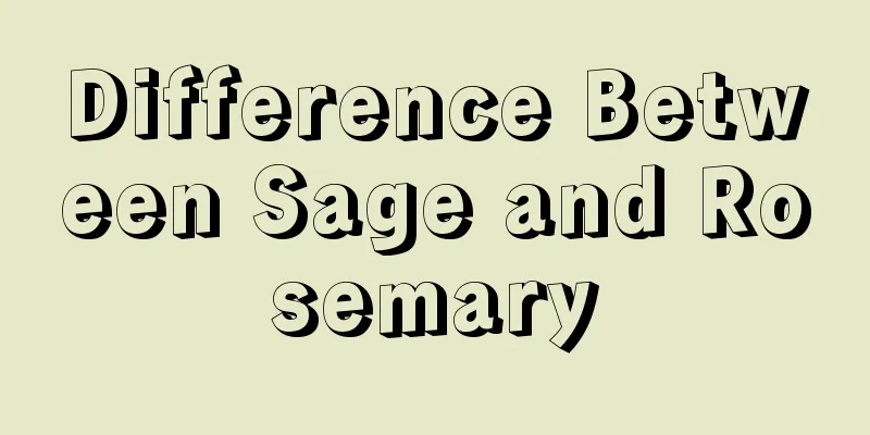 Difference Between Sage and Rosemary