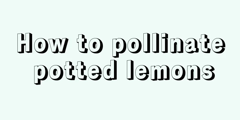 How to pollinate potted lemons