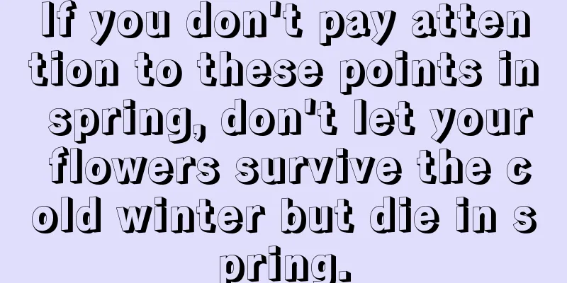 If you don't pay attention to these points in spring, don't let your flowers survive the cold winter but die in spring.