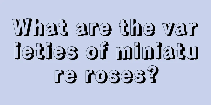 What are the varieties of miniature roses?