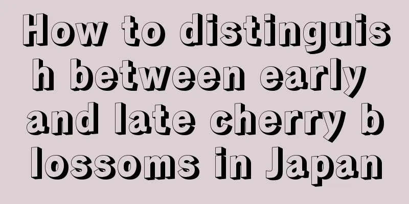 How to distinguish between early and late cherry blossoms in Japan