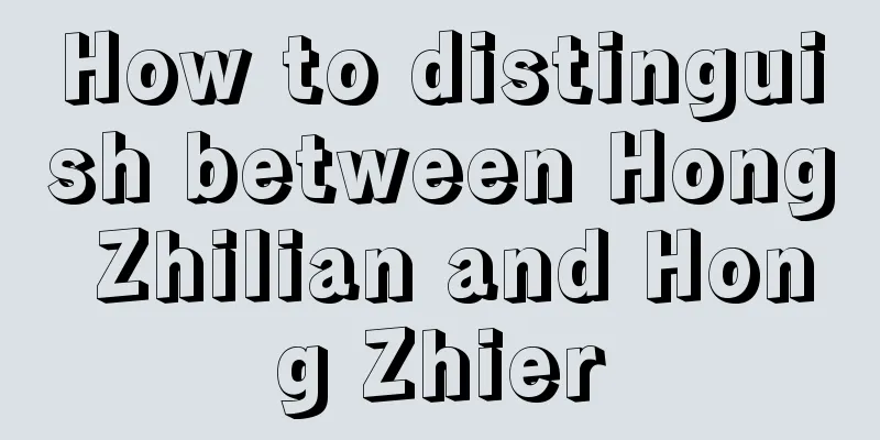 How to distinguish between Hong Zhilian and Hong Zhier