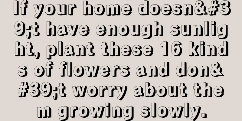 If your home doesn't have enough sunlight, plant these 16 kinds of flowers and don't worry about them growing slowly.