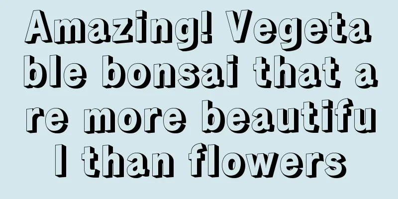 Amazing! Vegetable bonsai that are more beautiful than flowers