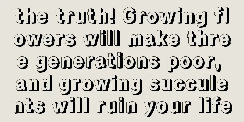 the truth! Growing flowers will make three generations poor, and growing succulents will ruin your life