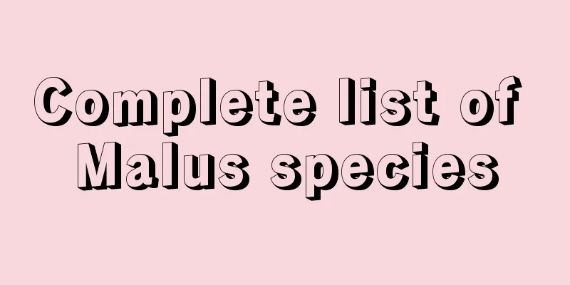 Complete list of Malus species