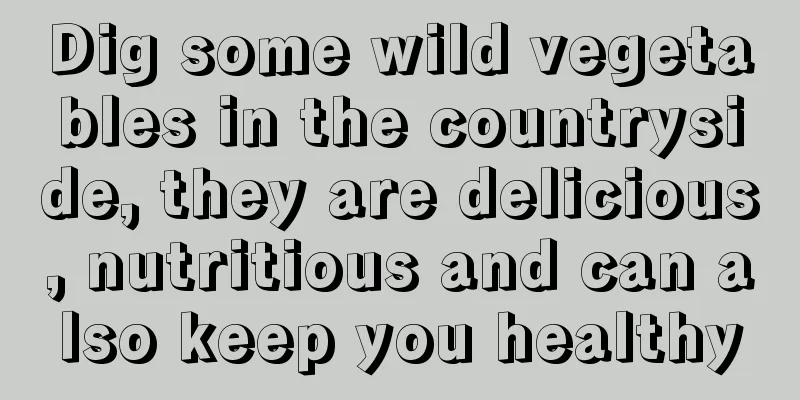 Dig some wild vegetables in the countryside, they are delicious, nutritious and can also keep you healthy