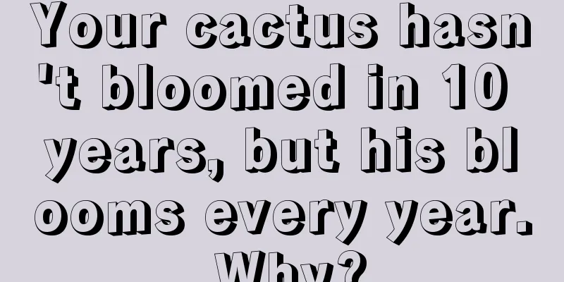 Your cactus hasn't bloomed in 10 years, but his blooms every year. Why?