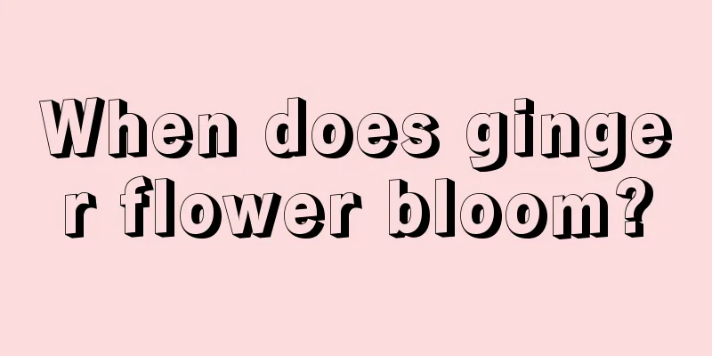 When does ginger flower bloom?