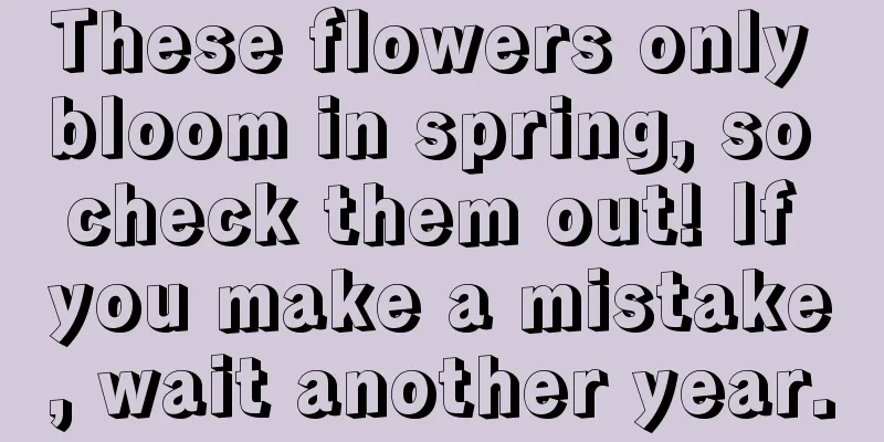 These flowers only bloom in spring, so check them out! If you make a mistake, wait another year.