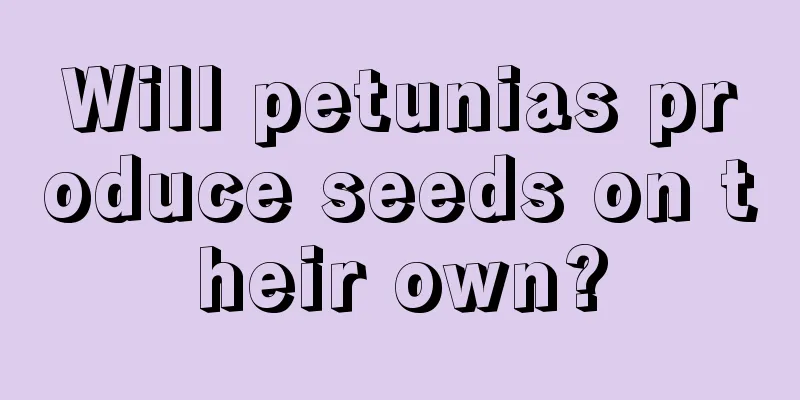 Will petunias produce seeds on their own?