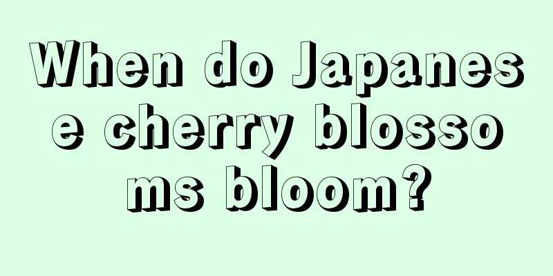 When do Japanese cherry blossoms bloom?