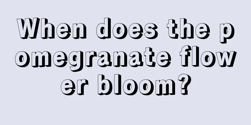 When does the pomegranate flower bloom?