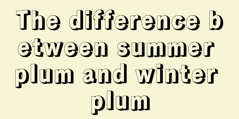 The difference between summer plum and winter plum