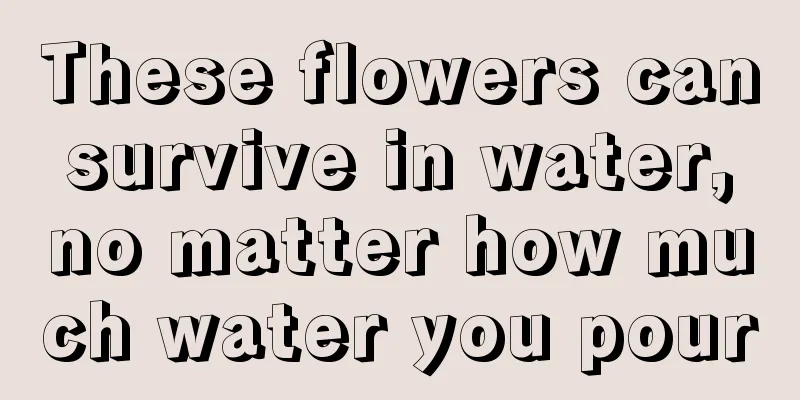 These flowers can survive in water, no matter how much water you pour