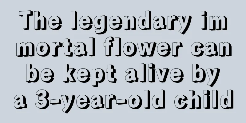 The legendary immortal flower can be kept alive by a 3-year-old child