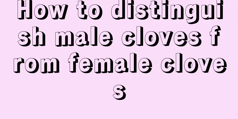 How to distinguish male cloves from female cloves