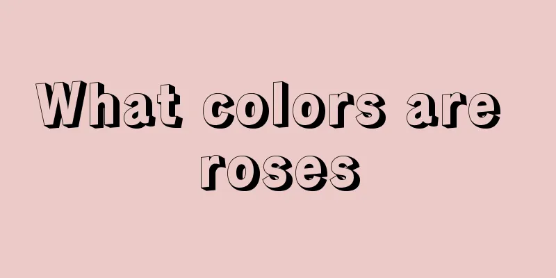 What colors are roses