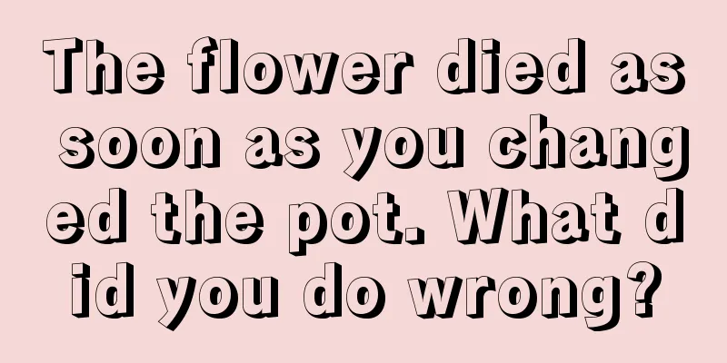 The flower died as soon as you changed the pot. What did you do wrong?