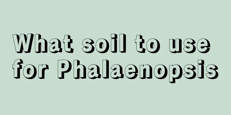 What soil to use for Phalaenopsis