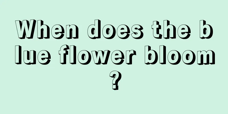 When does the blue flower bloom?