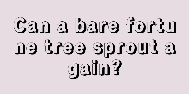 Can a bare fortune tree sprout again?