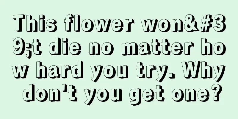 This flower won't die no matter how hard you try. Why don't you get one?