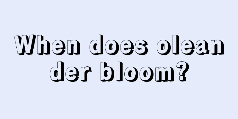 When does oleander bloom?